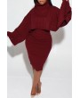 Lovely Casual Turtleneck Red Two-piece Skirt Set